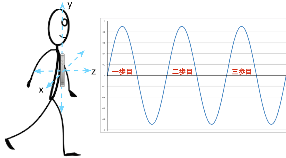 図 2. 人間の歩行