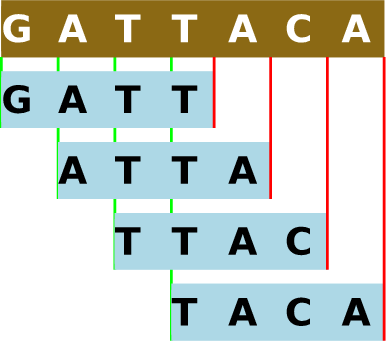 ゲノム配列の 4-mer への分割